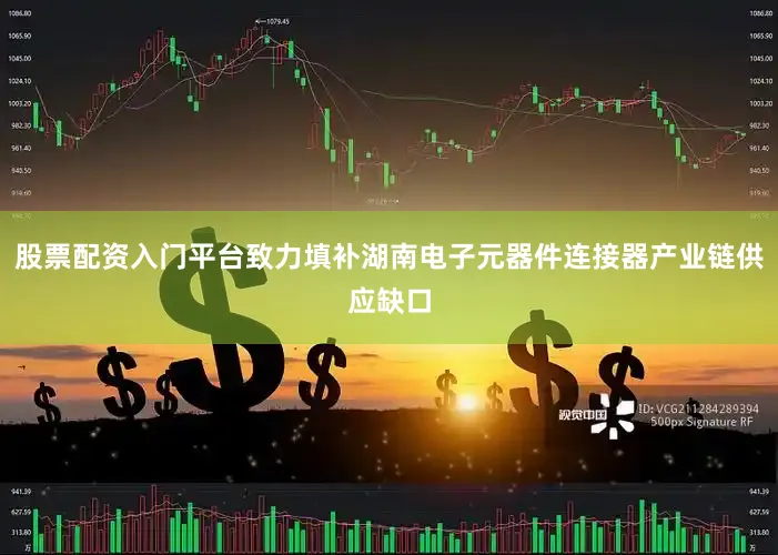 股票配资入门平台致力填补湖南电子元器件连接器产业链供应缺口